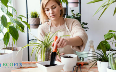 Green Cleaning: How to Create a Non-Toxic Home Environment